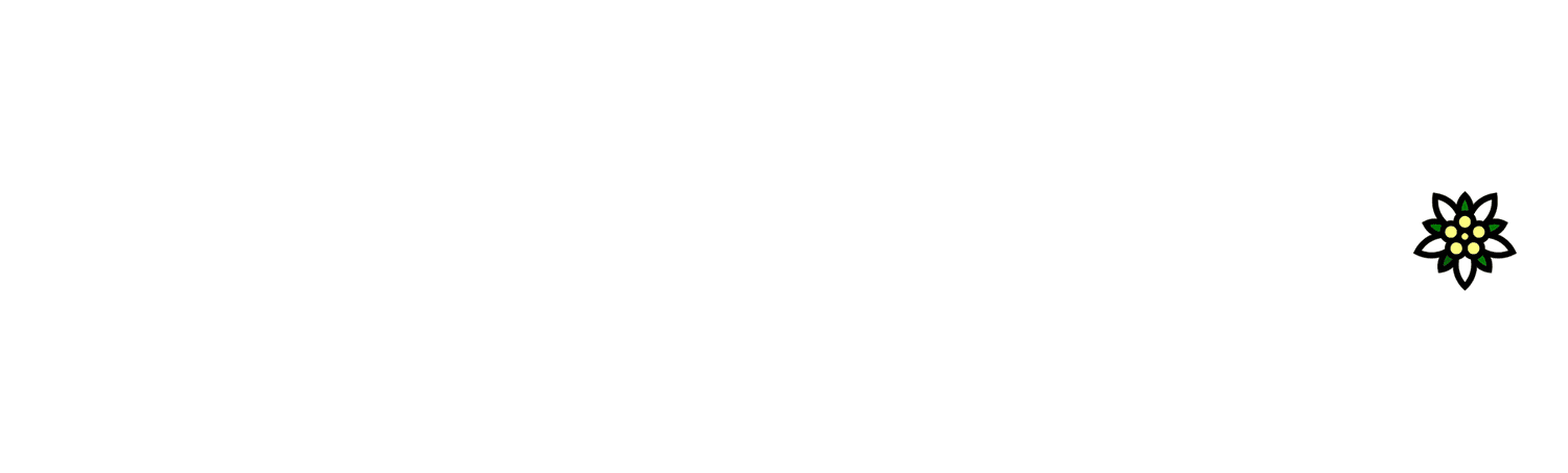 Mountain Men Living History Group