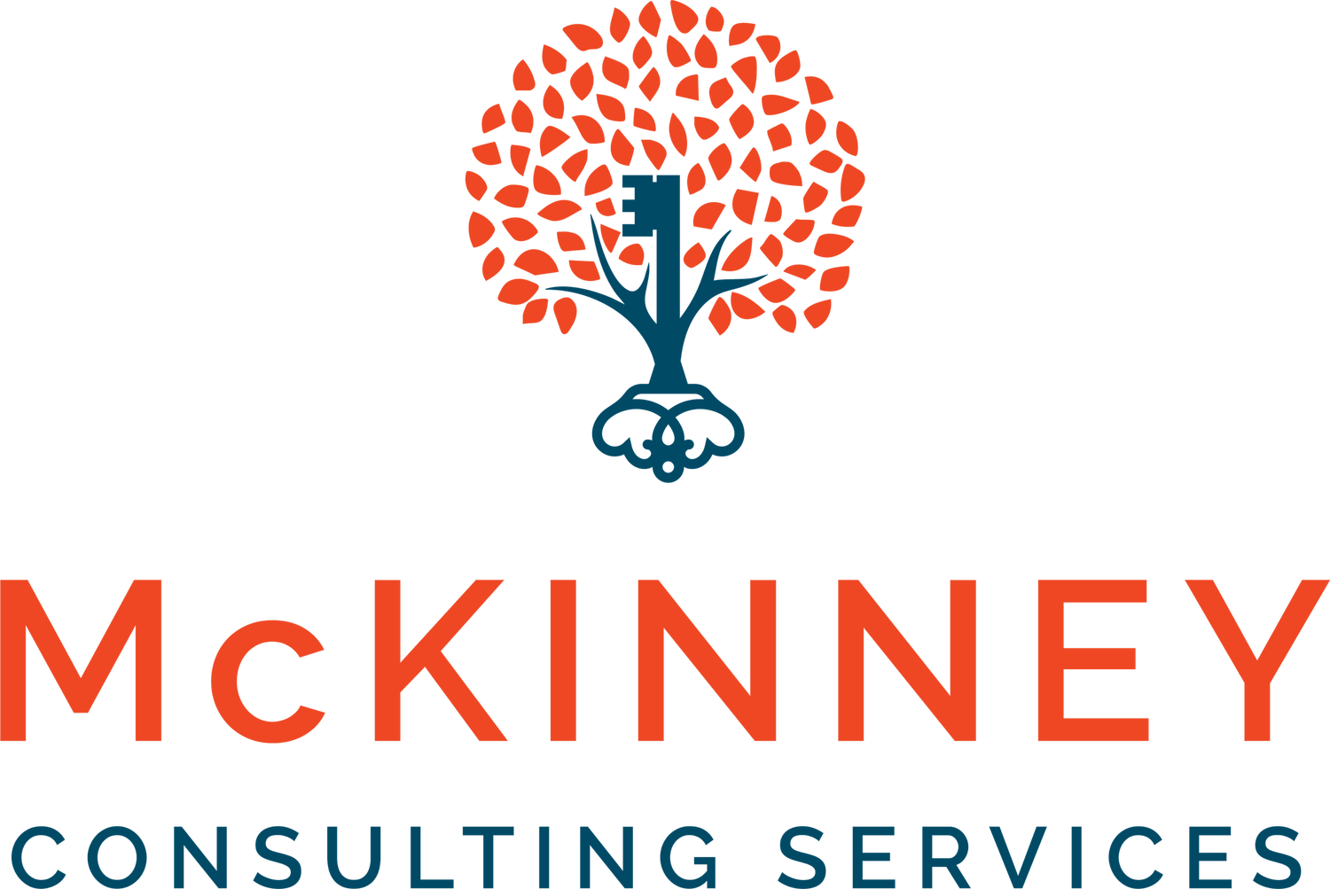 McKinney Consulting Services