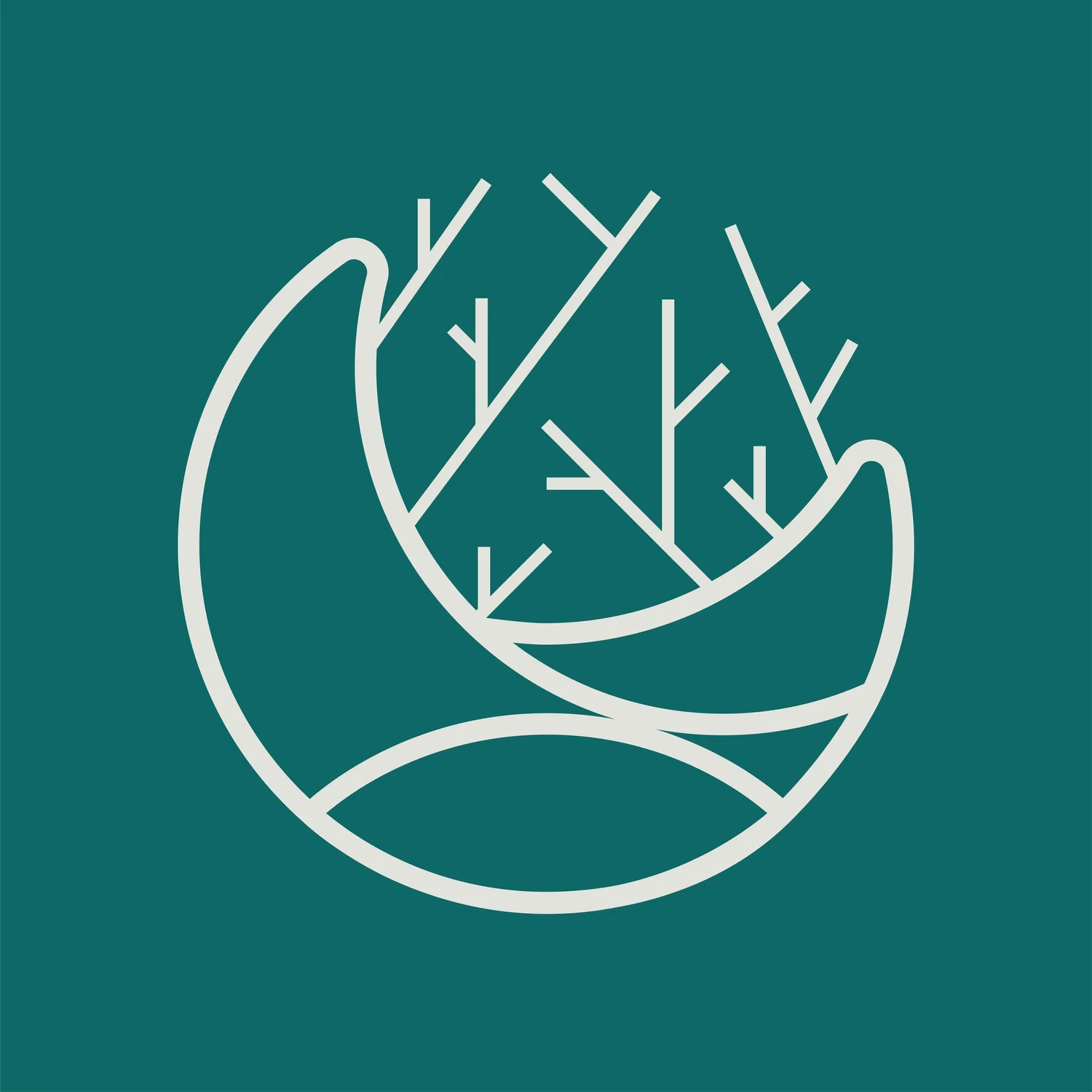 Olneya Estudio de Diseño