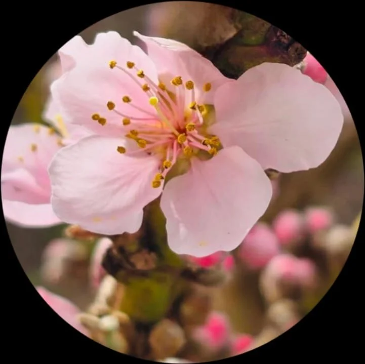 Gina’s Home in Robe – A Dreamlike Stay by the Harbour