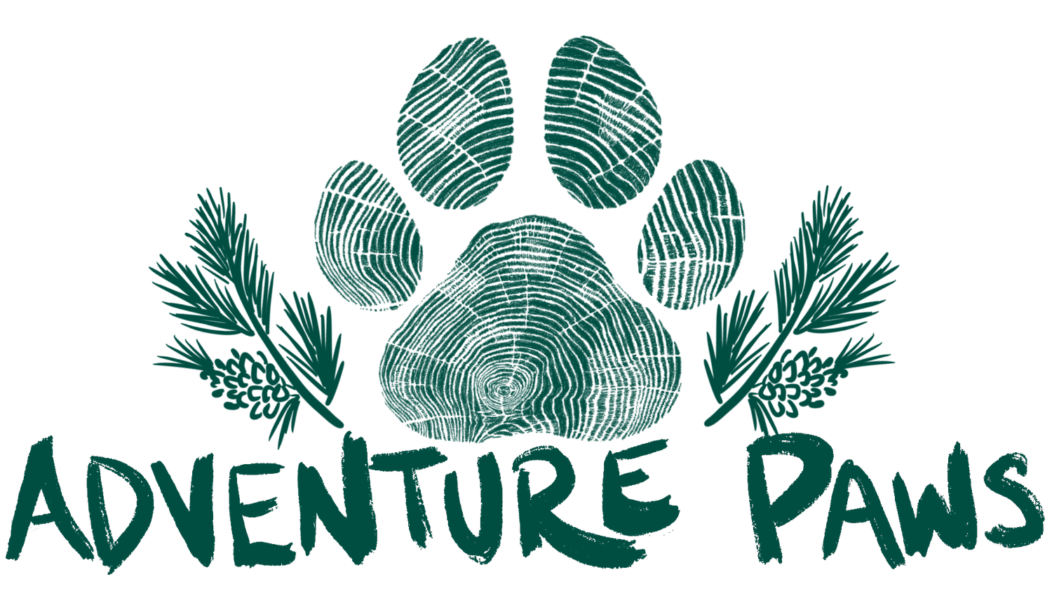 Adventure Paws Dog Training