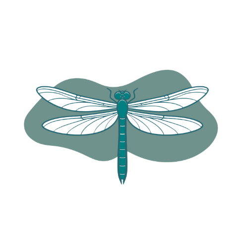 Breathe Easy Collective