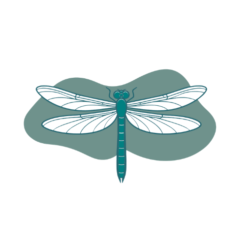 Breathe Easy Collective