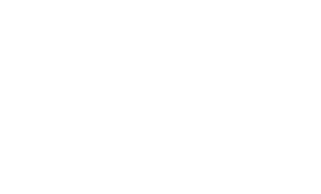 MOTOR DISTRICT