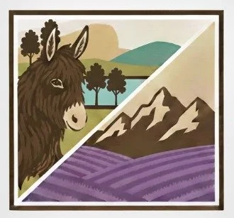 Les Beaux Chênes Gîtes et La Drome Donkeys