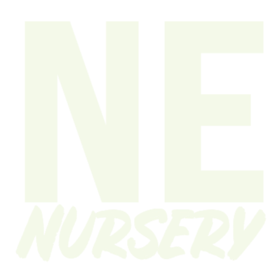 North End Nursery I A Place to Belong, Explore & Grow