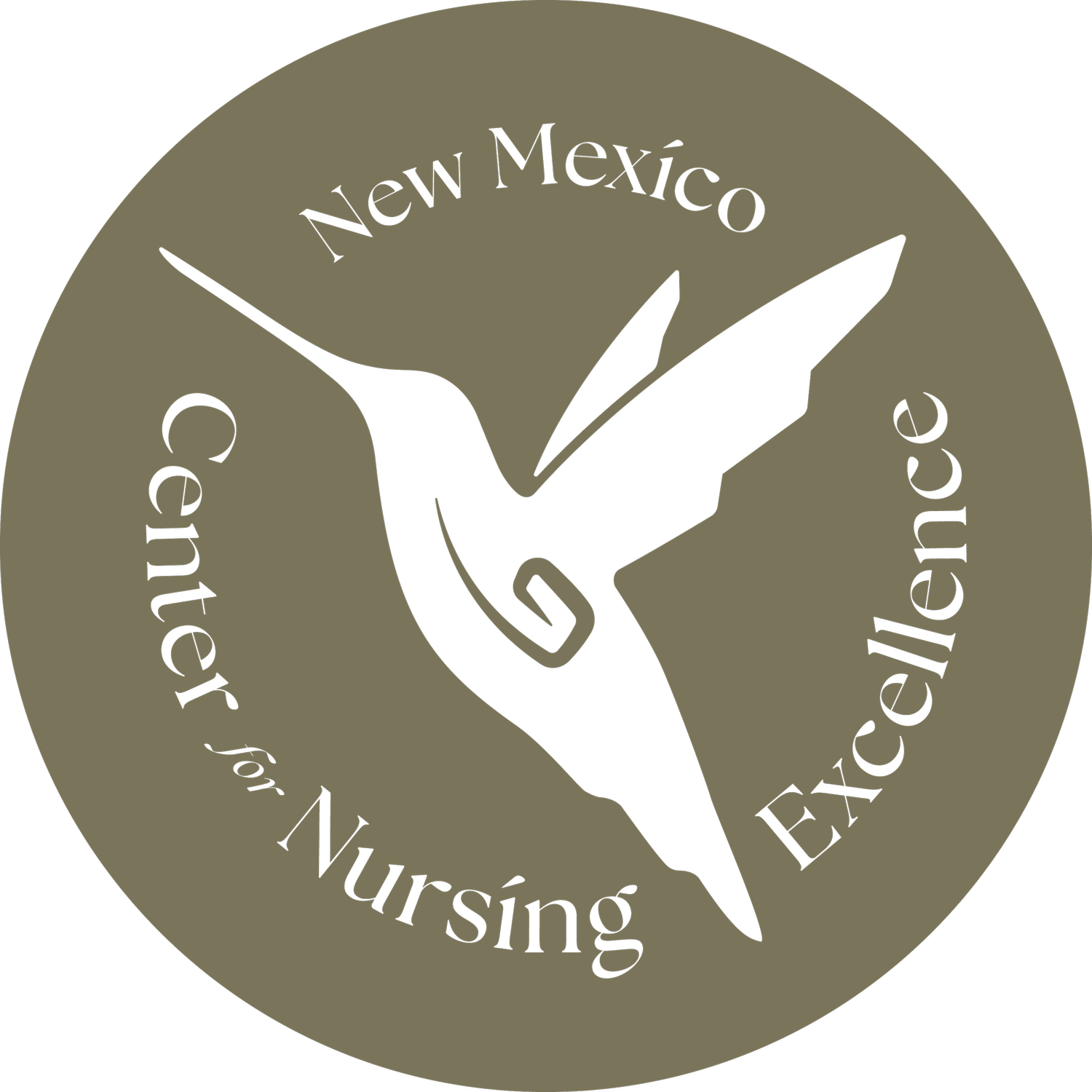 NEW MEXICO CENTER FOR NURSING EXCELLENCE