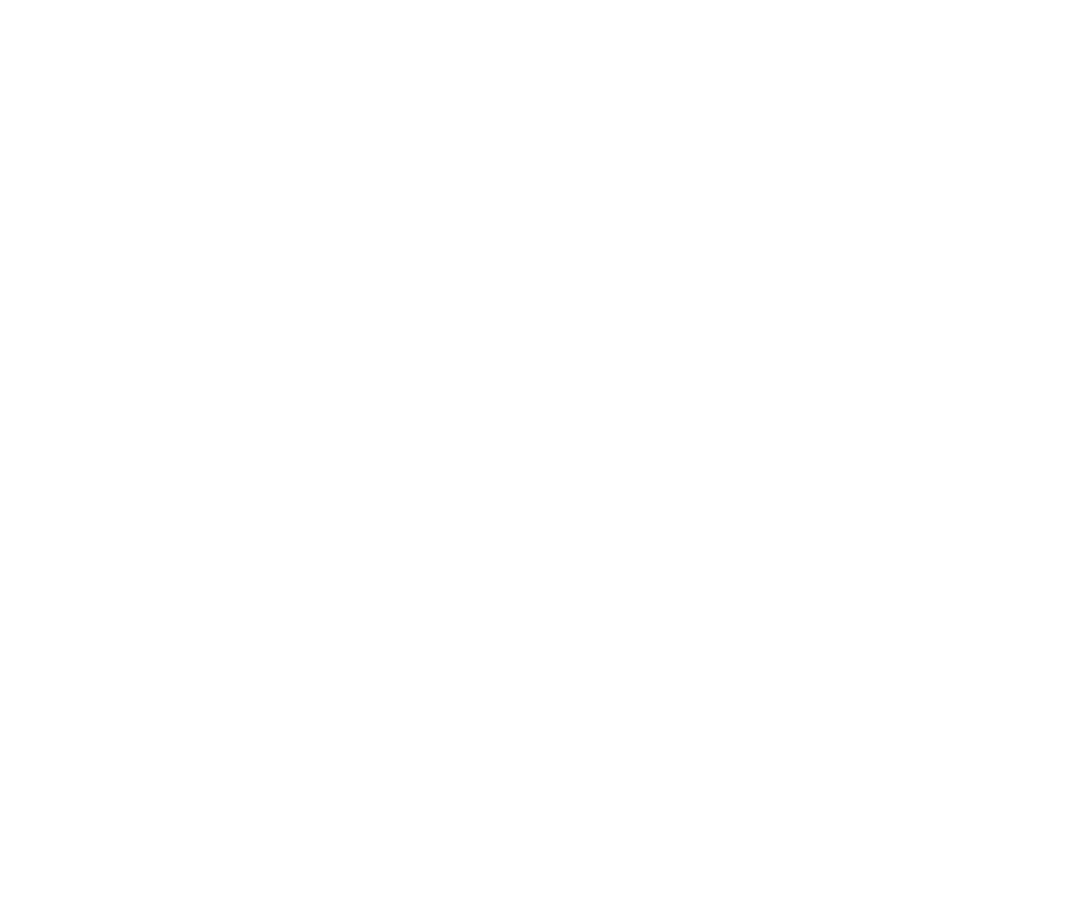 WYSE Consulting LLC