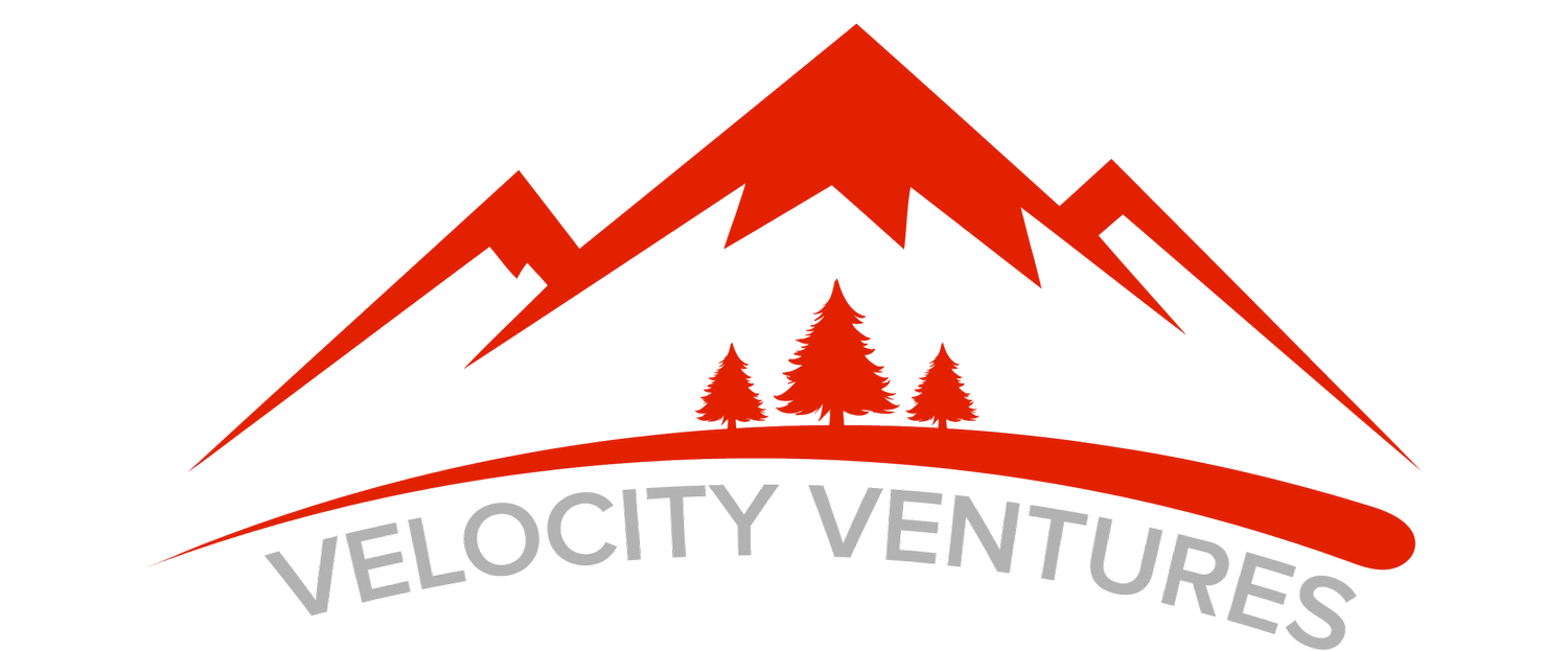 Velocity Ventures Consulting