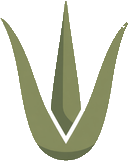 Coast Aloe Tax Literacy & Education