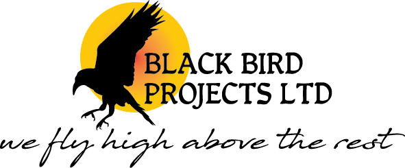 Black Bird Projects Ltd.