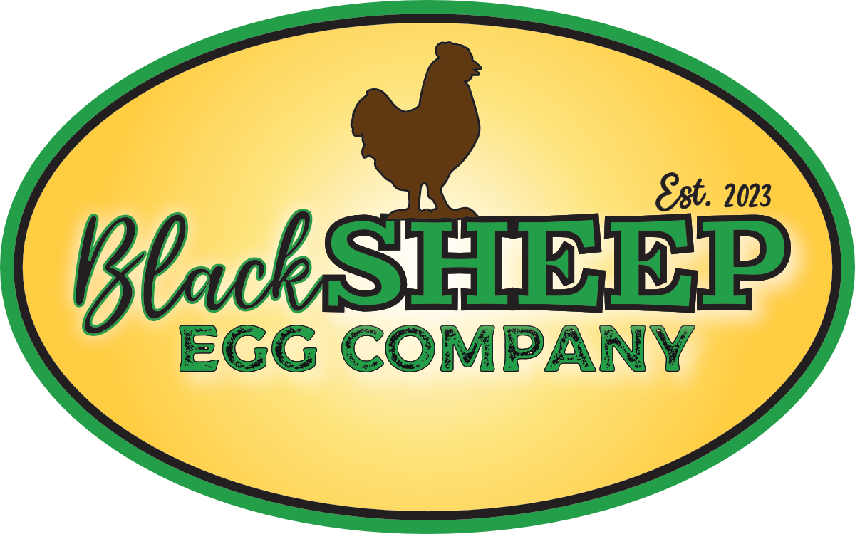 Black Sheep Egg Co.