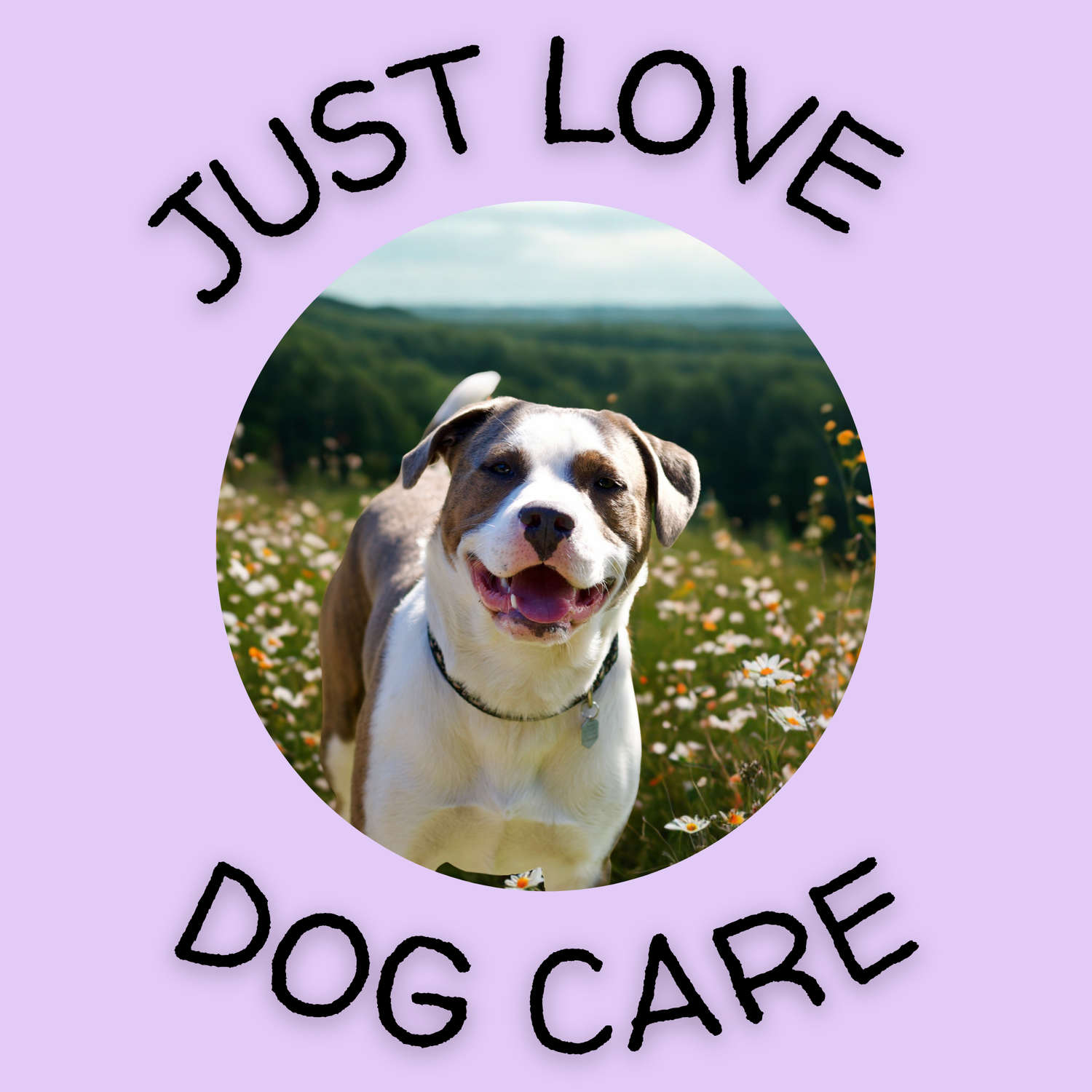 Just Love Dog Care