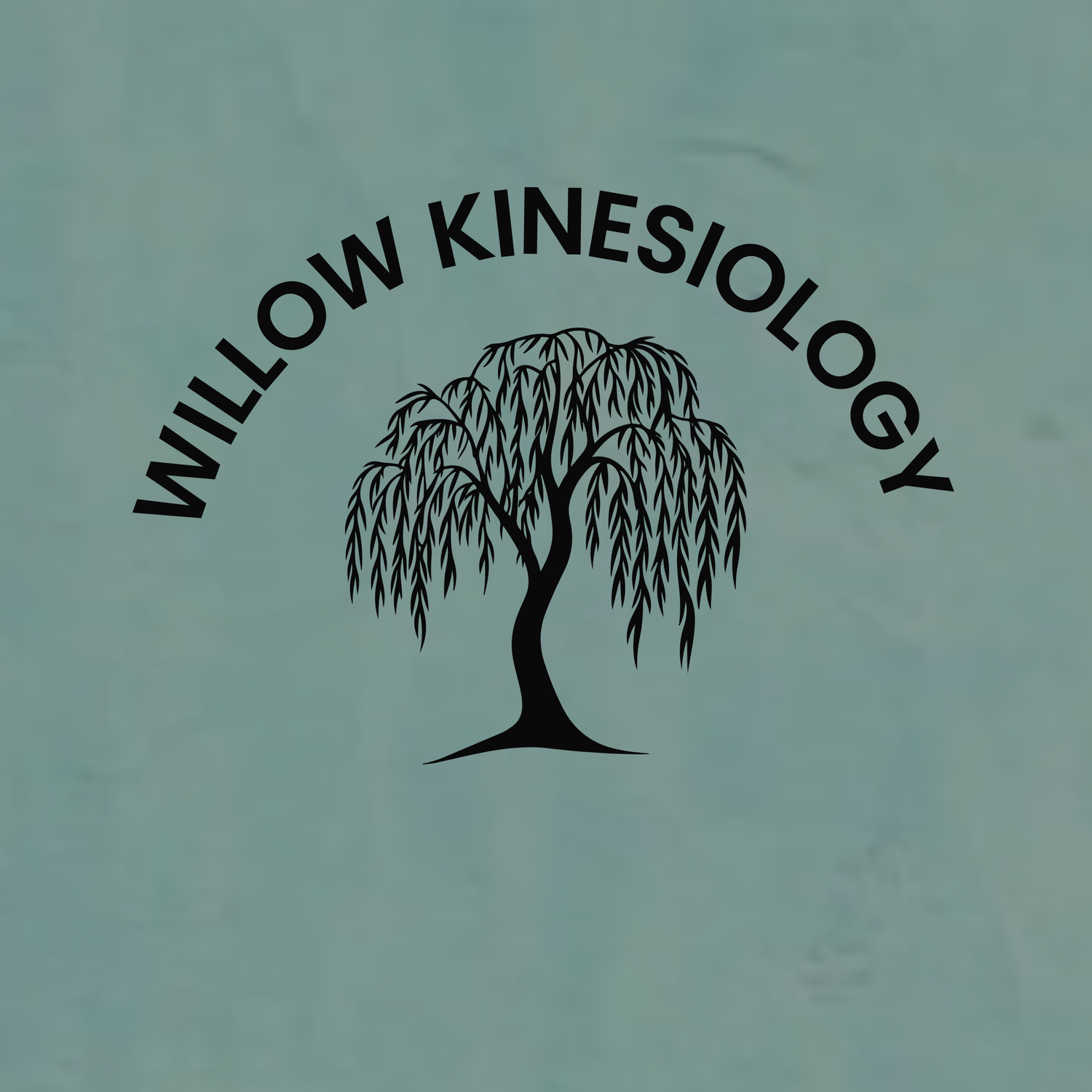 Willow Kinesiology