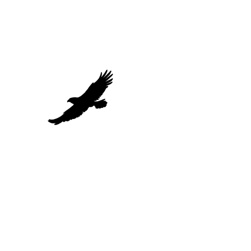 Falke Investigations