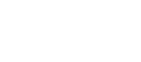 The GTM Team | Strategy • Action • Growth