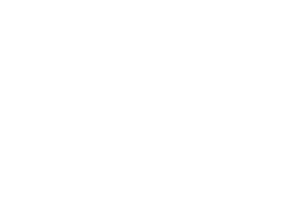 Sowega Chlorinator