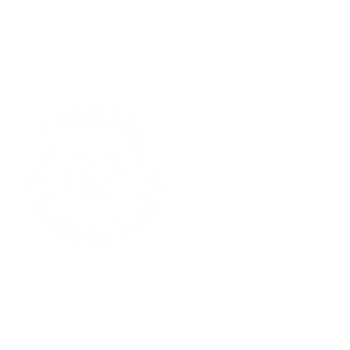 VA Concealed Carry Class