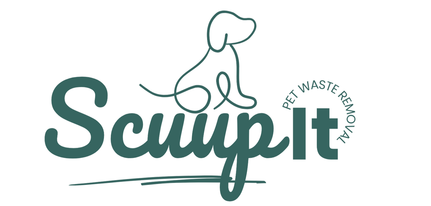 Scuup It