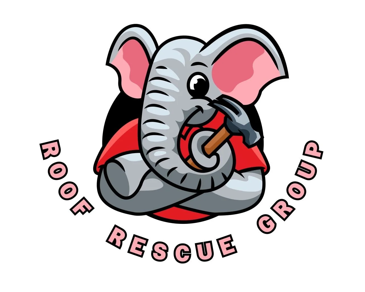 Welcome to Roof Rescue Group!