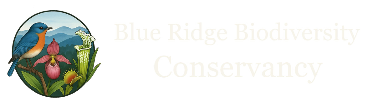 Blue Ridge Biodiversity Conservancy