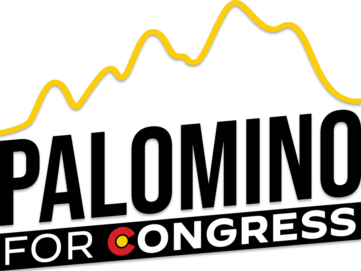 Santiago Palomino for Congress!