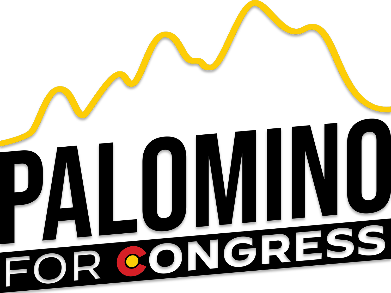 Santiago Palomino for Congress!