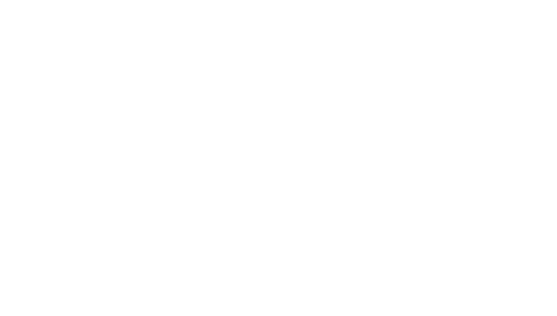 All Seasons Turf