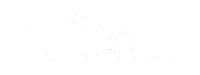 MW Fitness