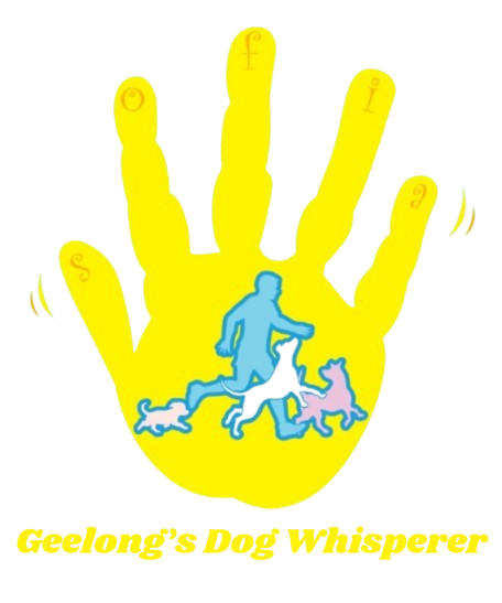 Geelong's Dog Whisperer