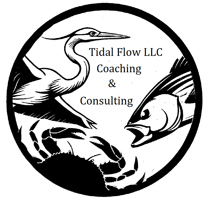 Tidal Flow LLC