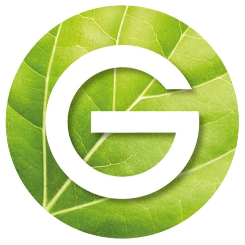 Garnier Fructis