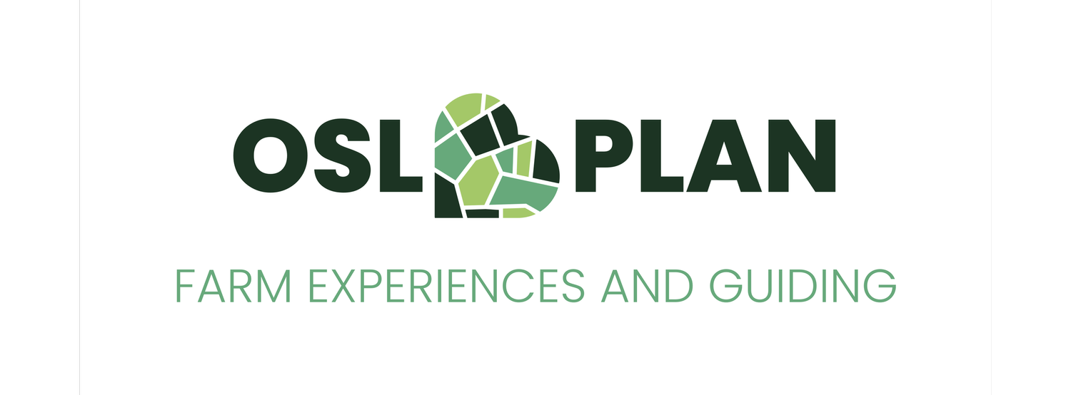 OSL PLAN