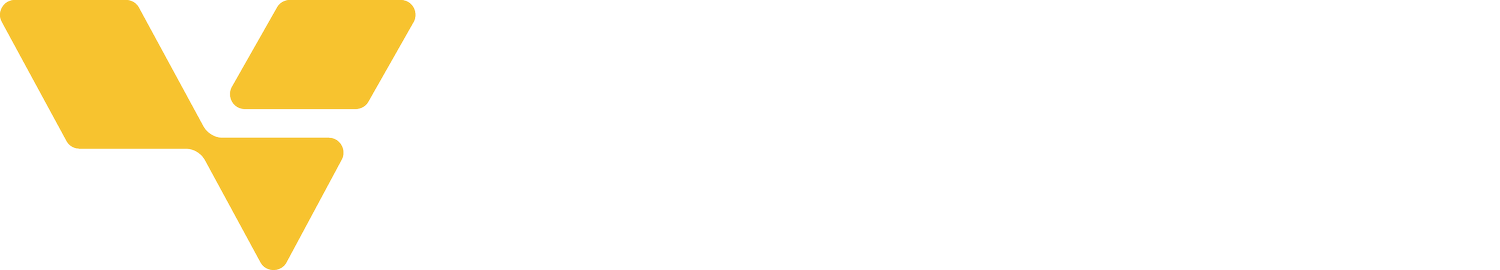 Visionary Sports Group
