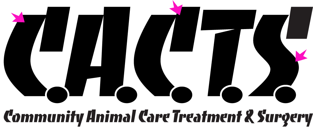 Your Site Title