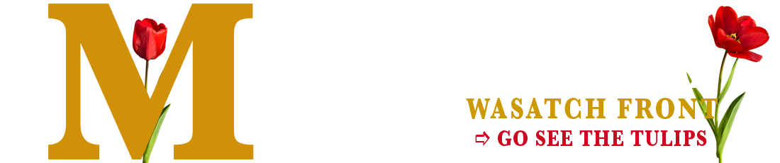 Mountain & Main Magazine