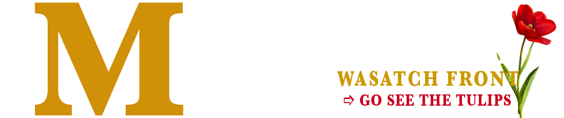 Mountain & Main Magazine