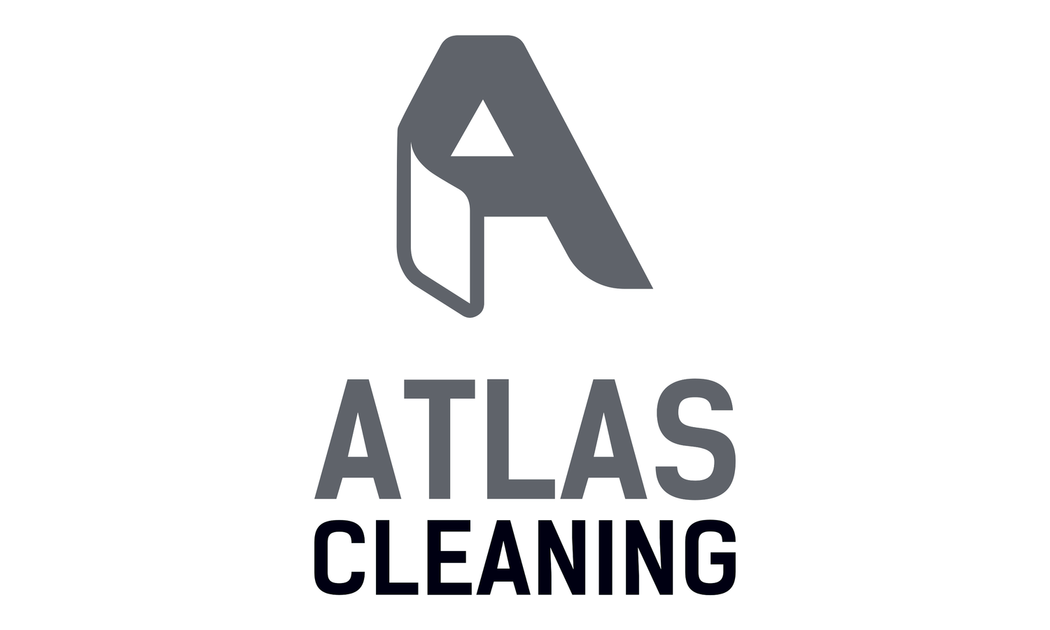 AGS CLEANING