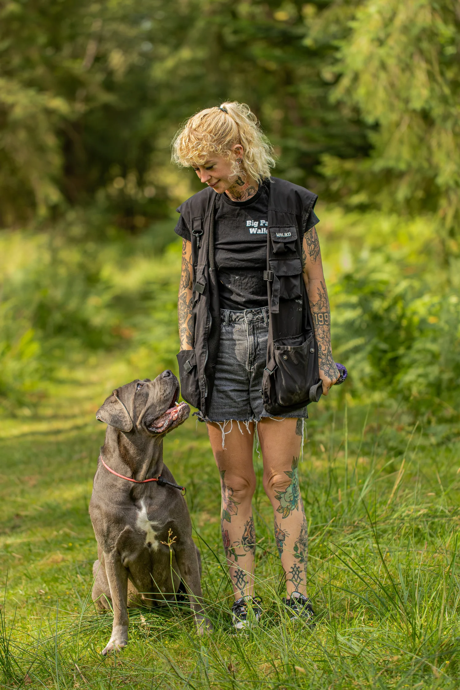 Big Paw Walks- Large breeds and reactivity specialists