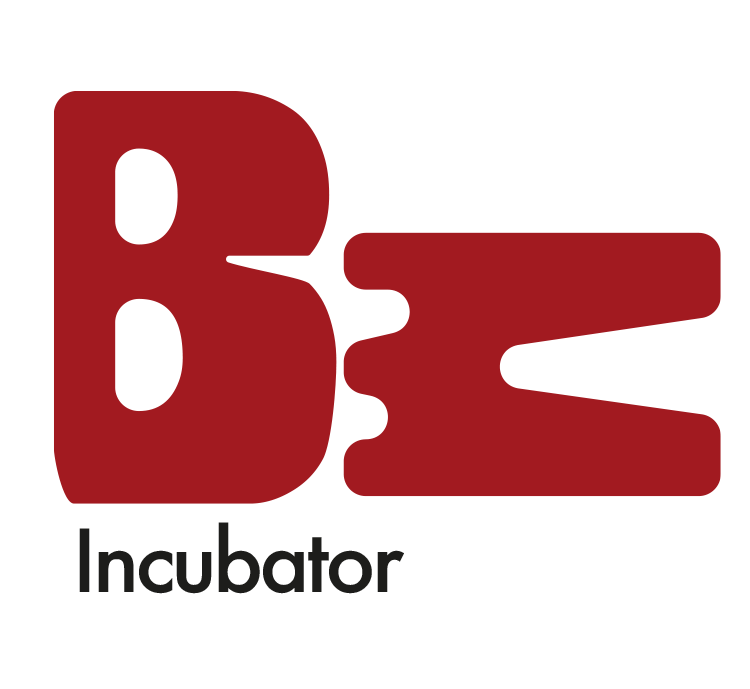 Baxu Maam Incubator