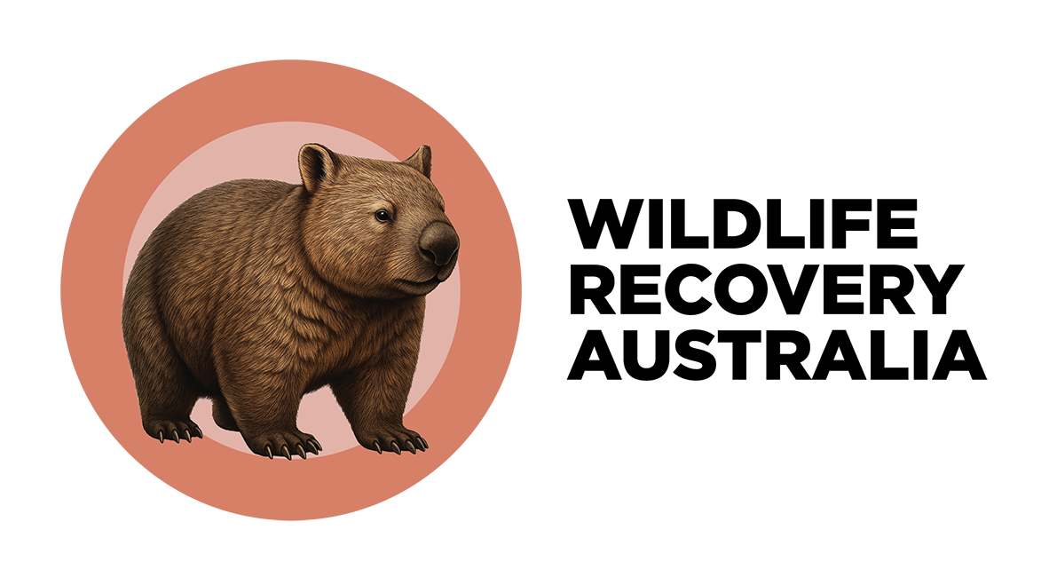 Wildlife Recovery Australia