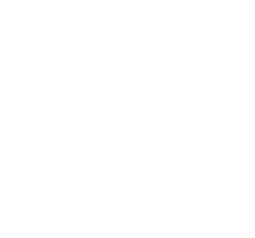 nvsPhoto