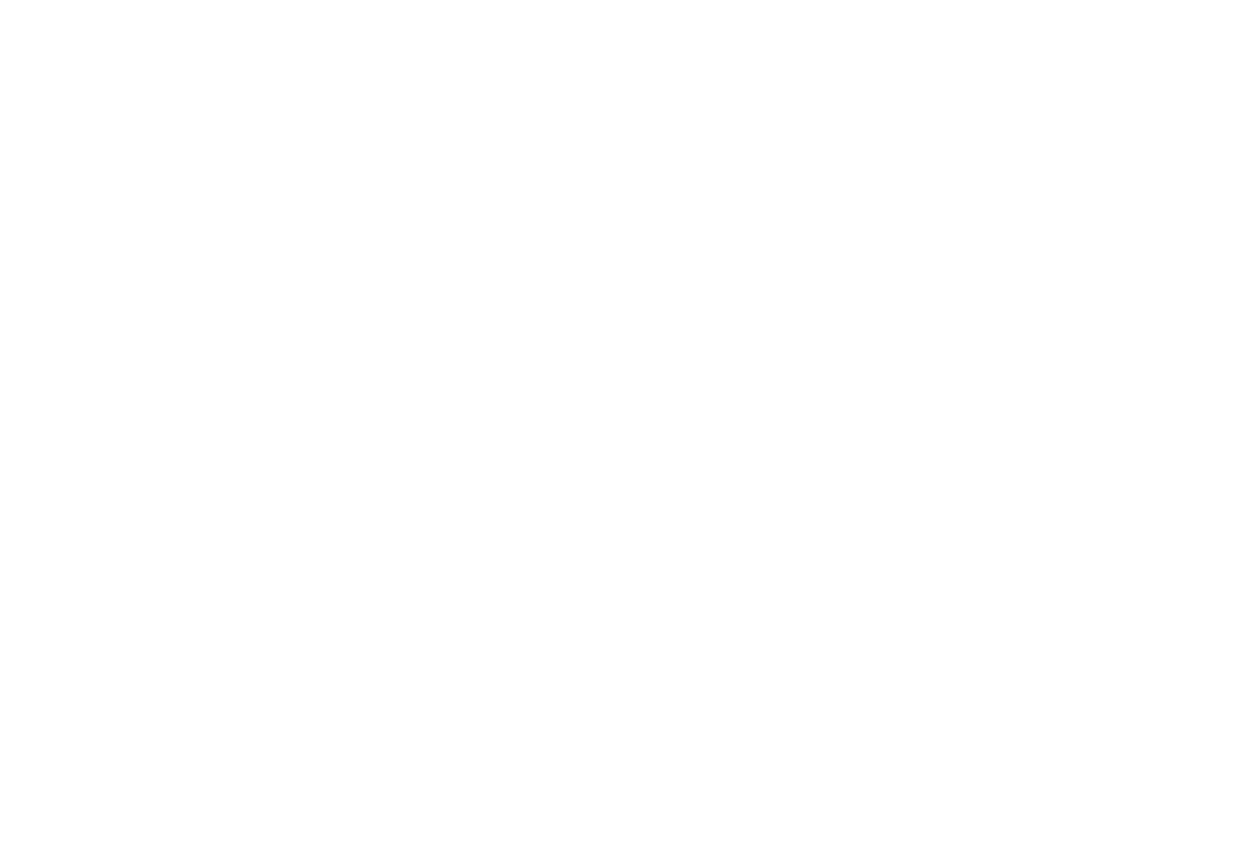 nvsPhoto
