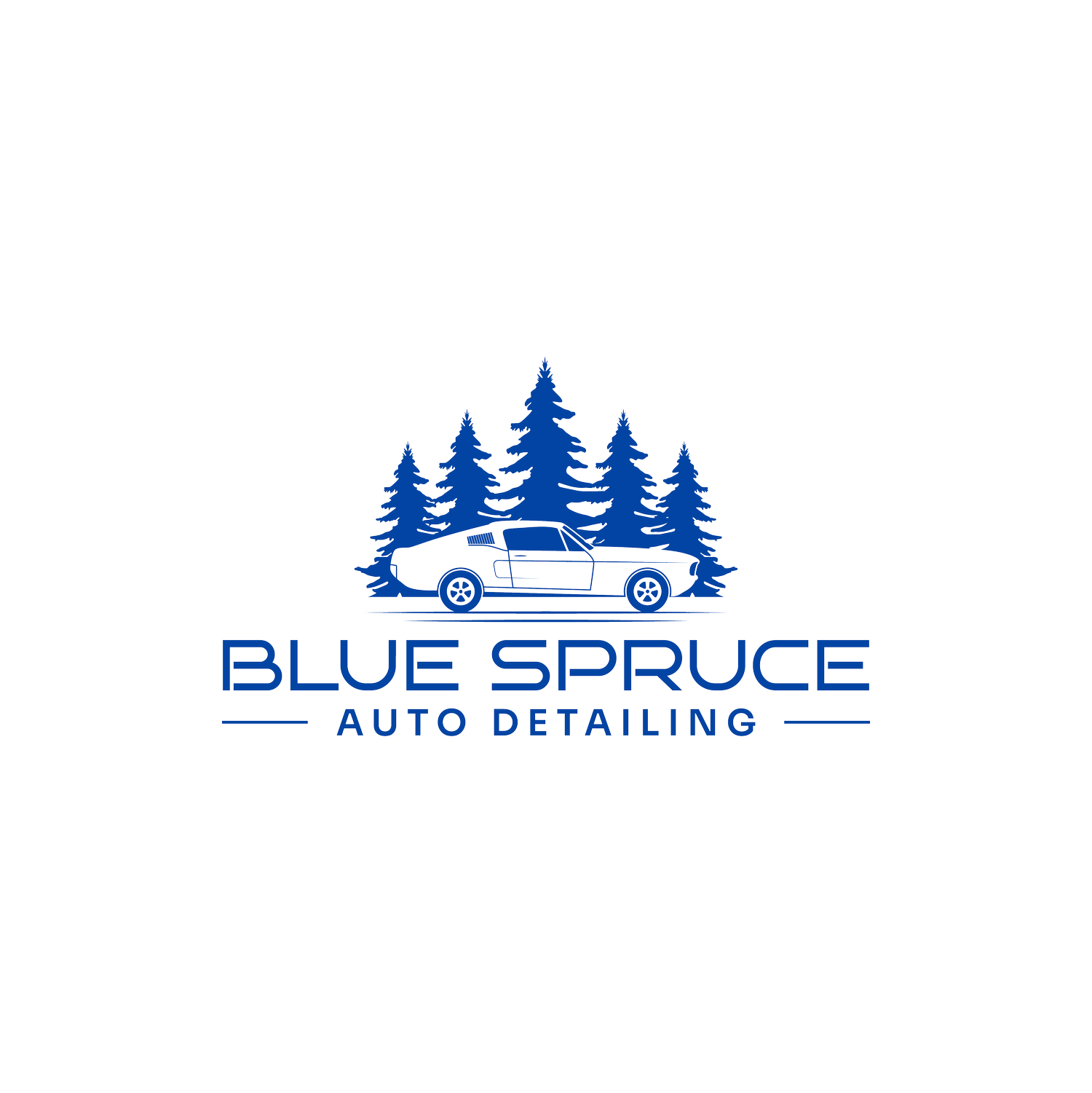 Denver Mobile Car Detailing