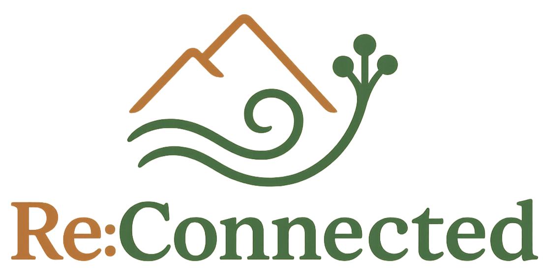 Joe Winch: Re:Connected