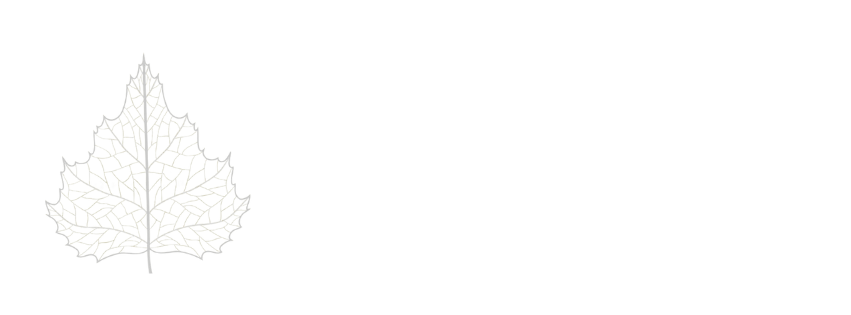 Birch Leaf Massage Therapy