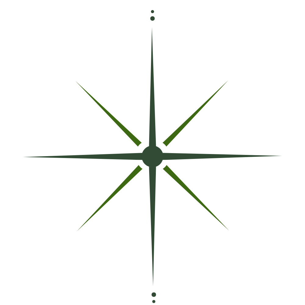 NorthStar Integrative Medicine