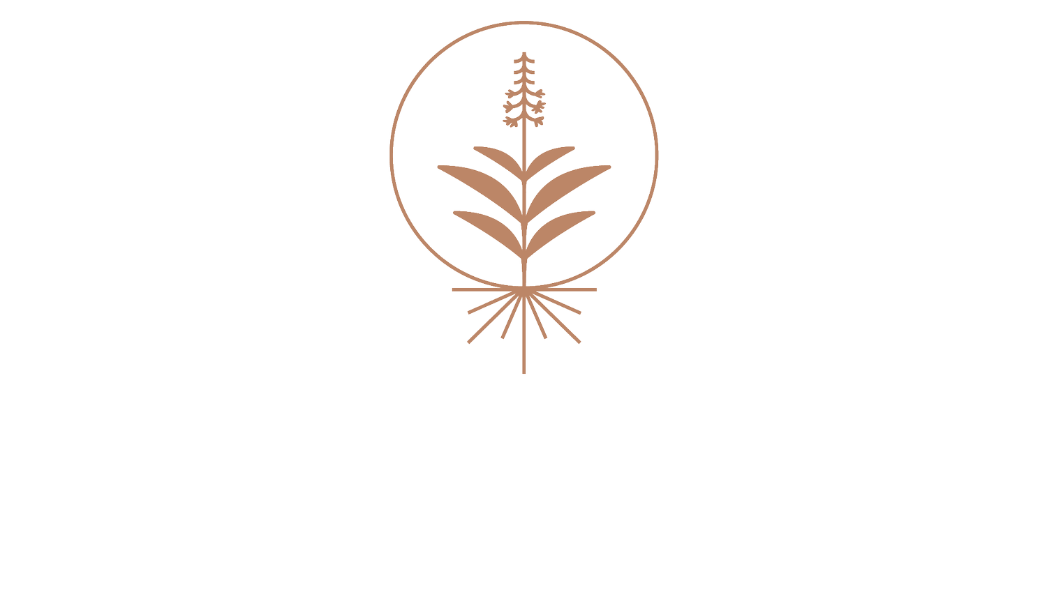 INNER LIGHT INTEGRATIVE HEALTH &amp; BOTANICALS