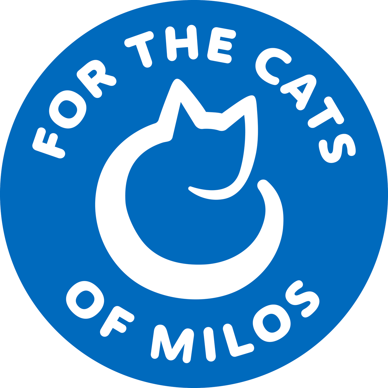 For The Cats Of Milos