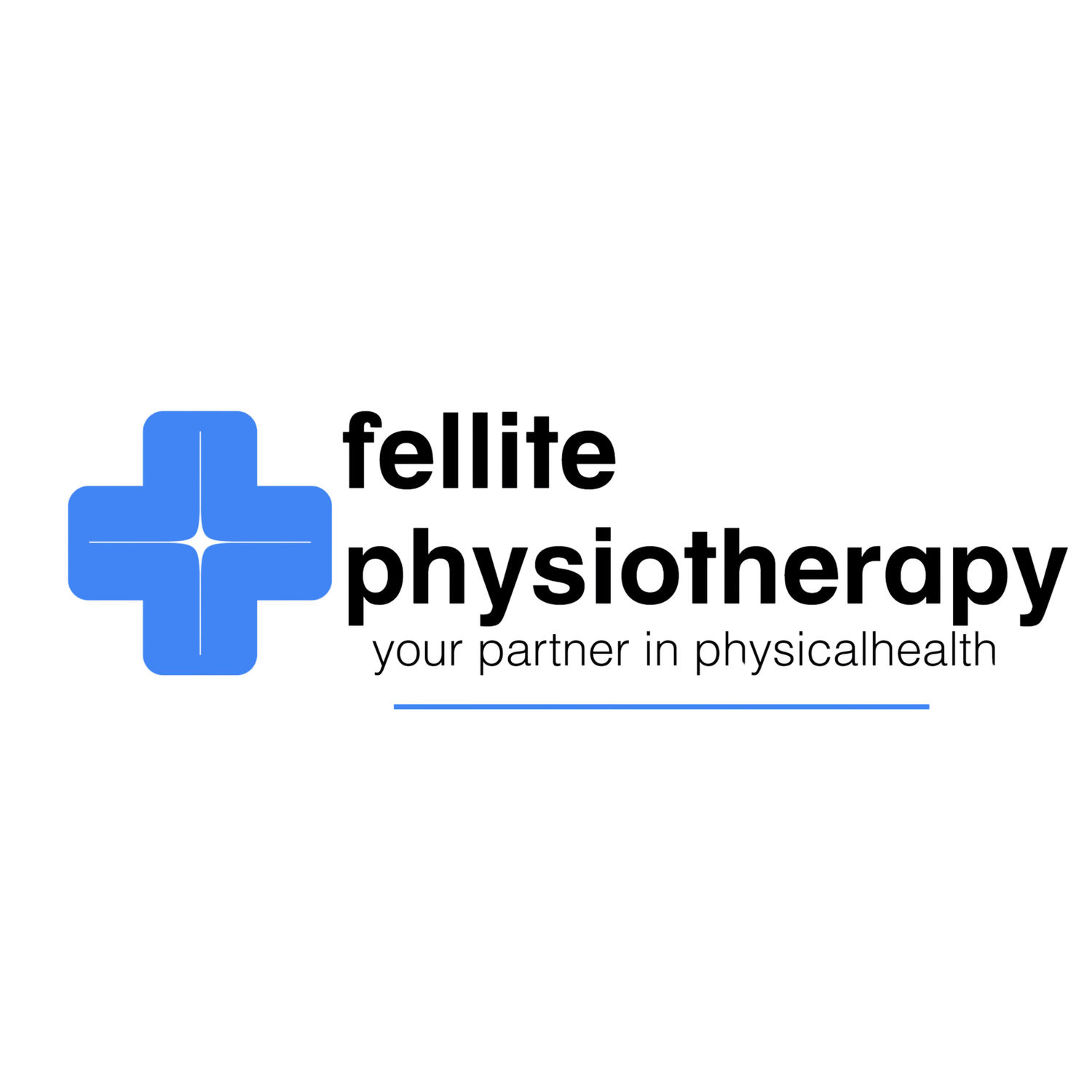fellitephysio